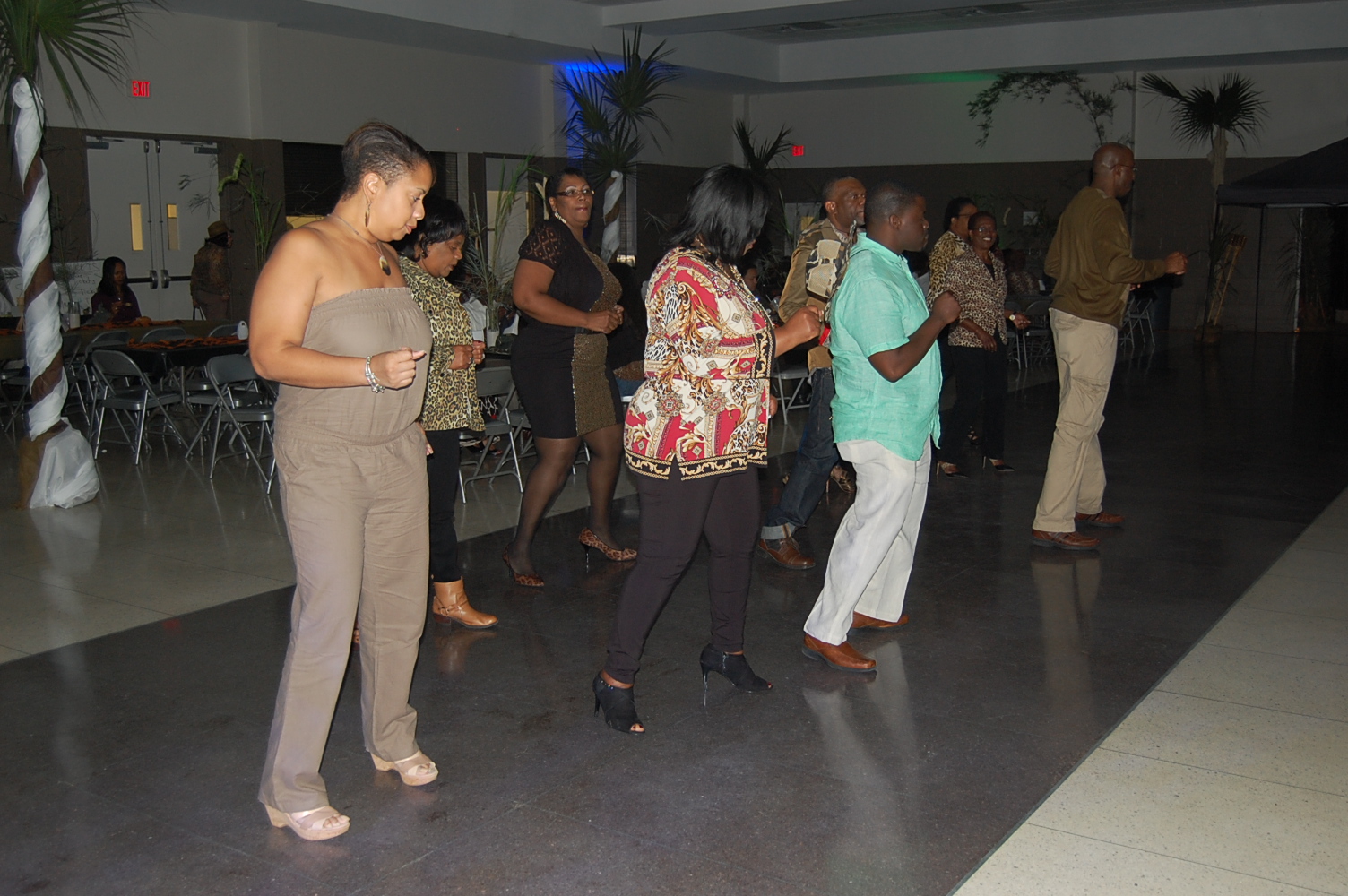 Alpha Safari 2014