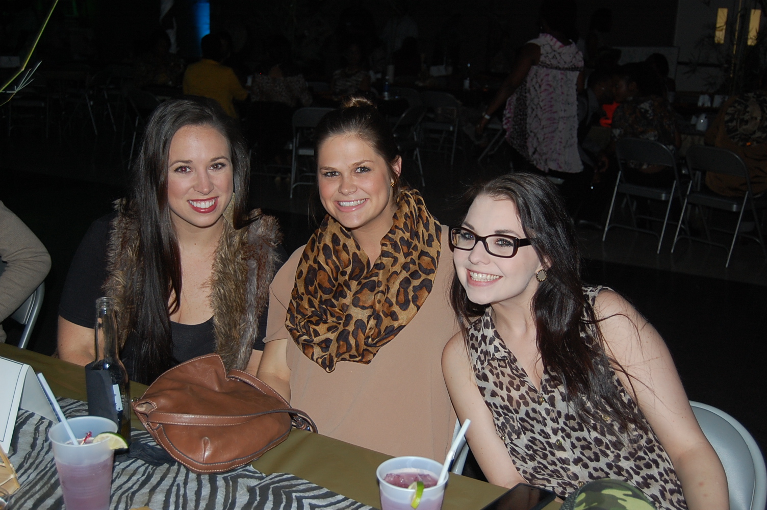 Alpha Safari 2014